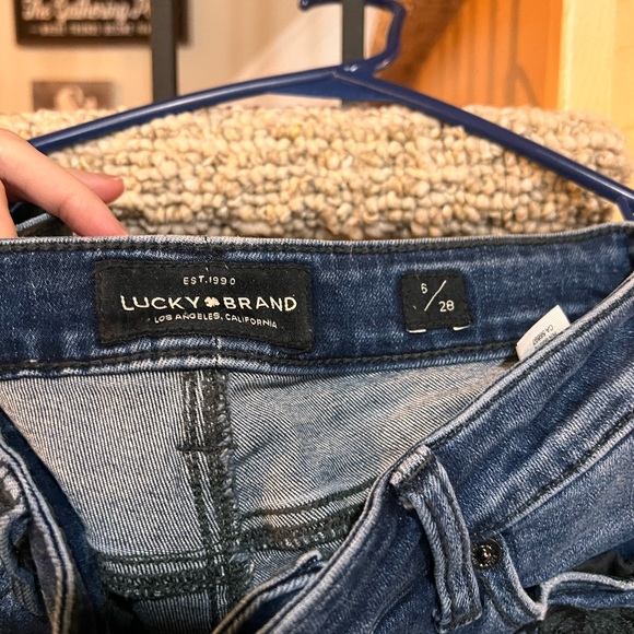 Dark Wash Flora Embroidered Lolita skinny jeans - Picture 7 of 9